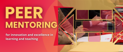 peer mentoring 2ed